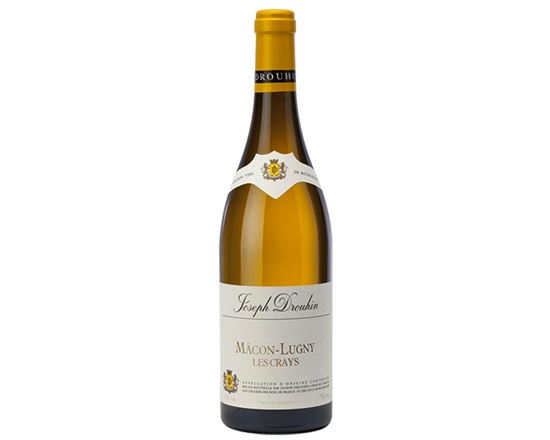 Foto 266 di Panasia