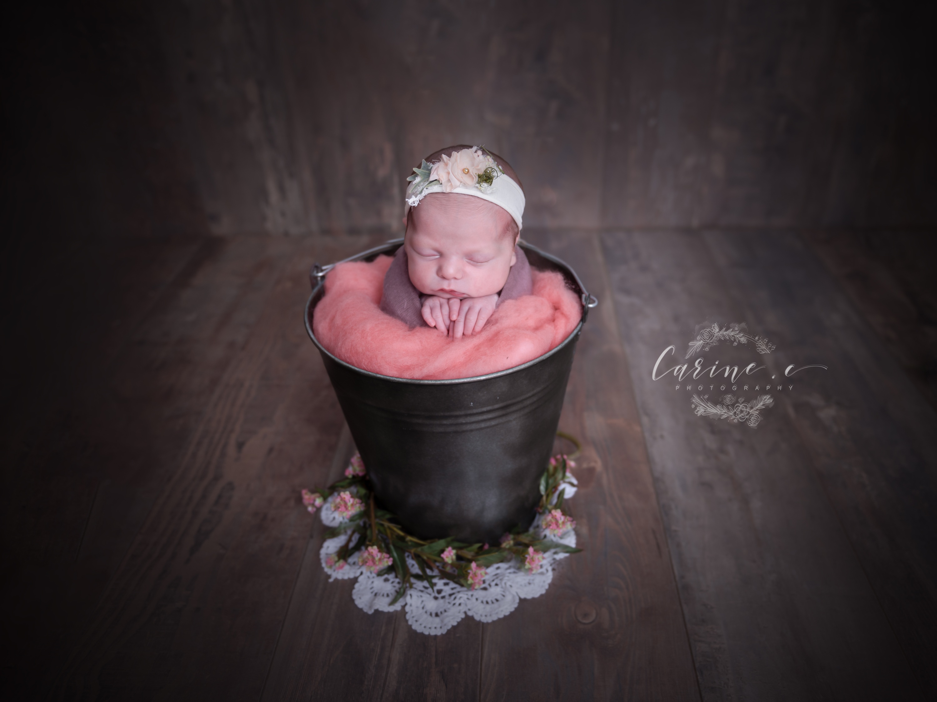 Foto 59 di Carine Photography