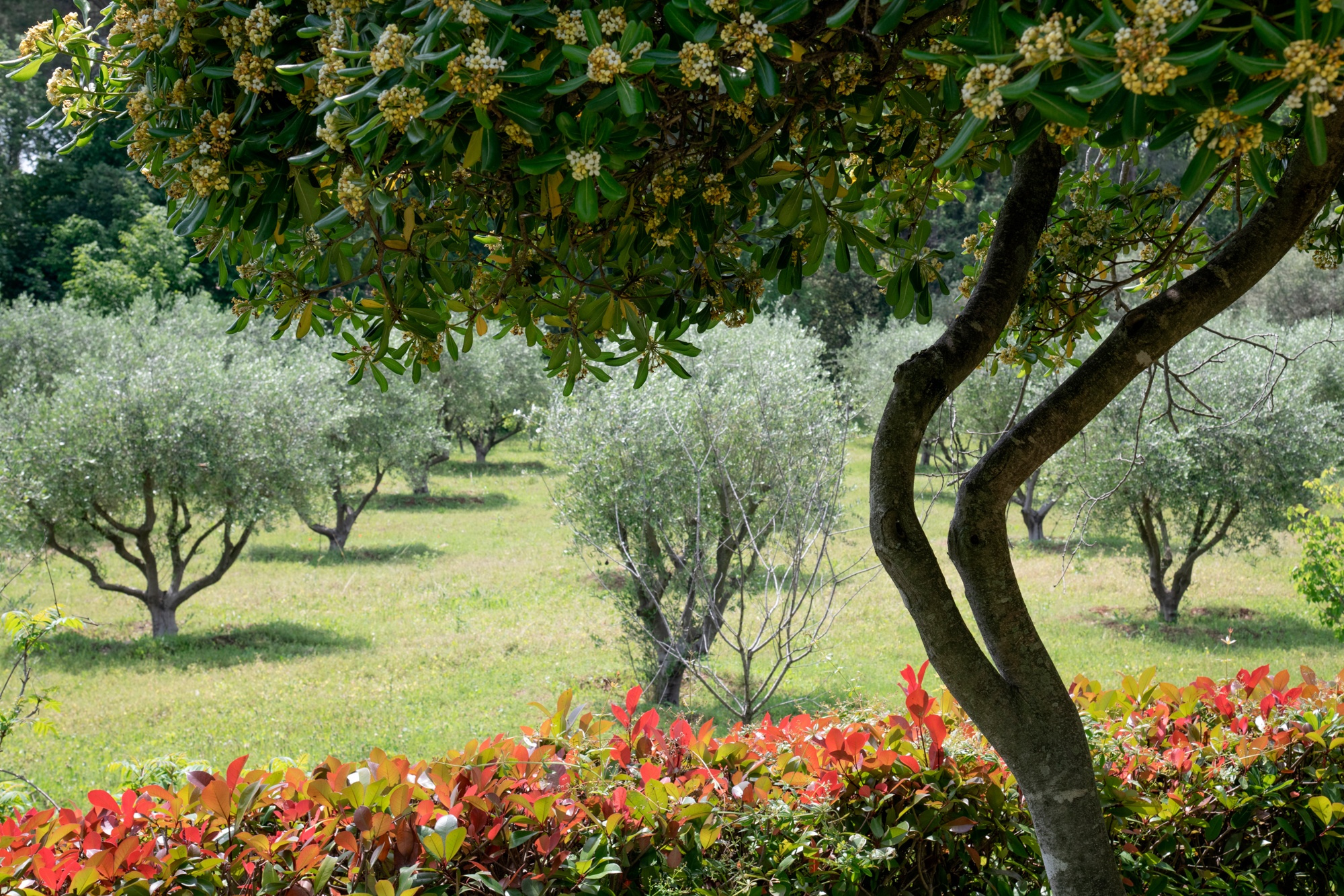 Hôtel Les Messugues