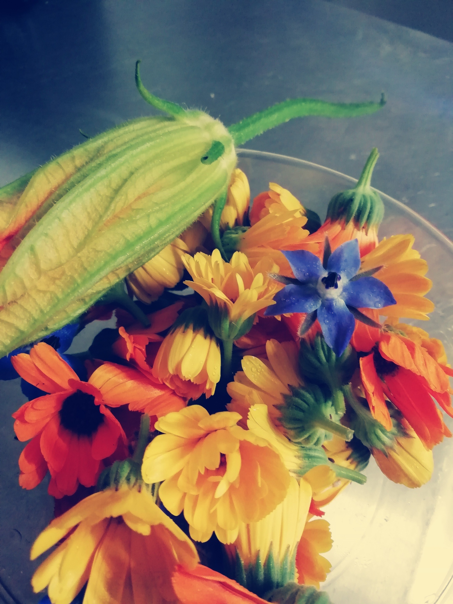 Nommad's - Bistro à Bourdeilles