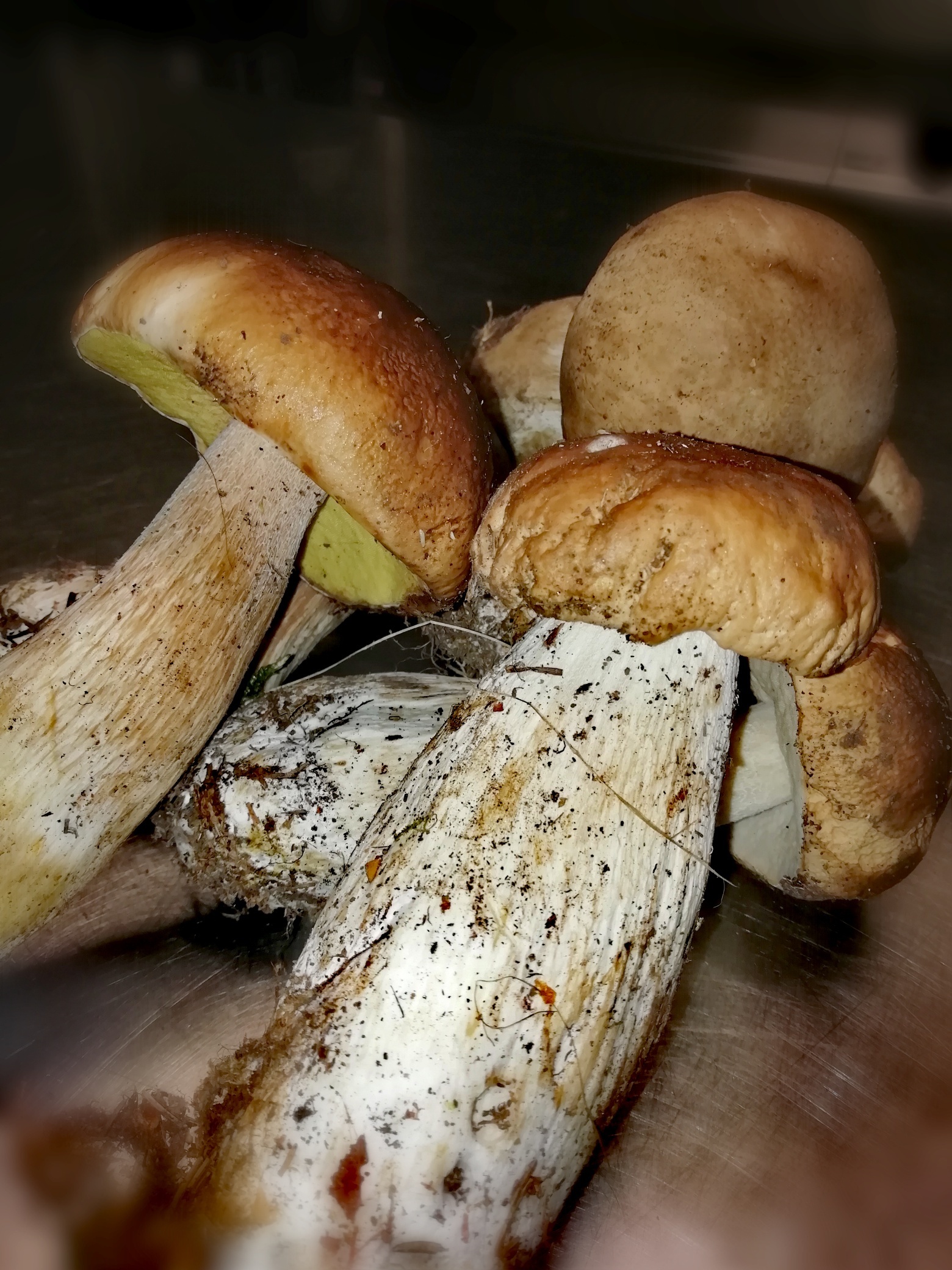 Nommad's - Bistro à Bourdeilles