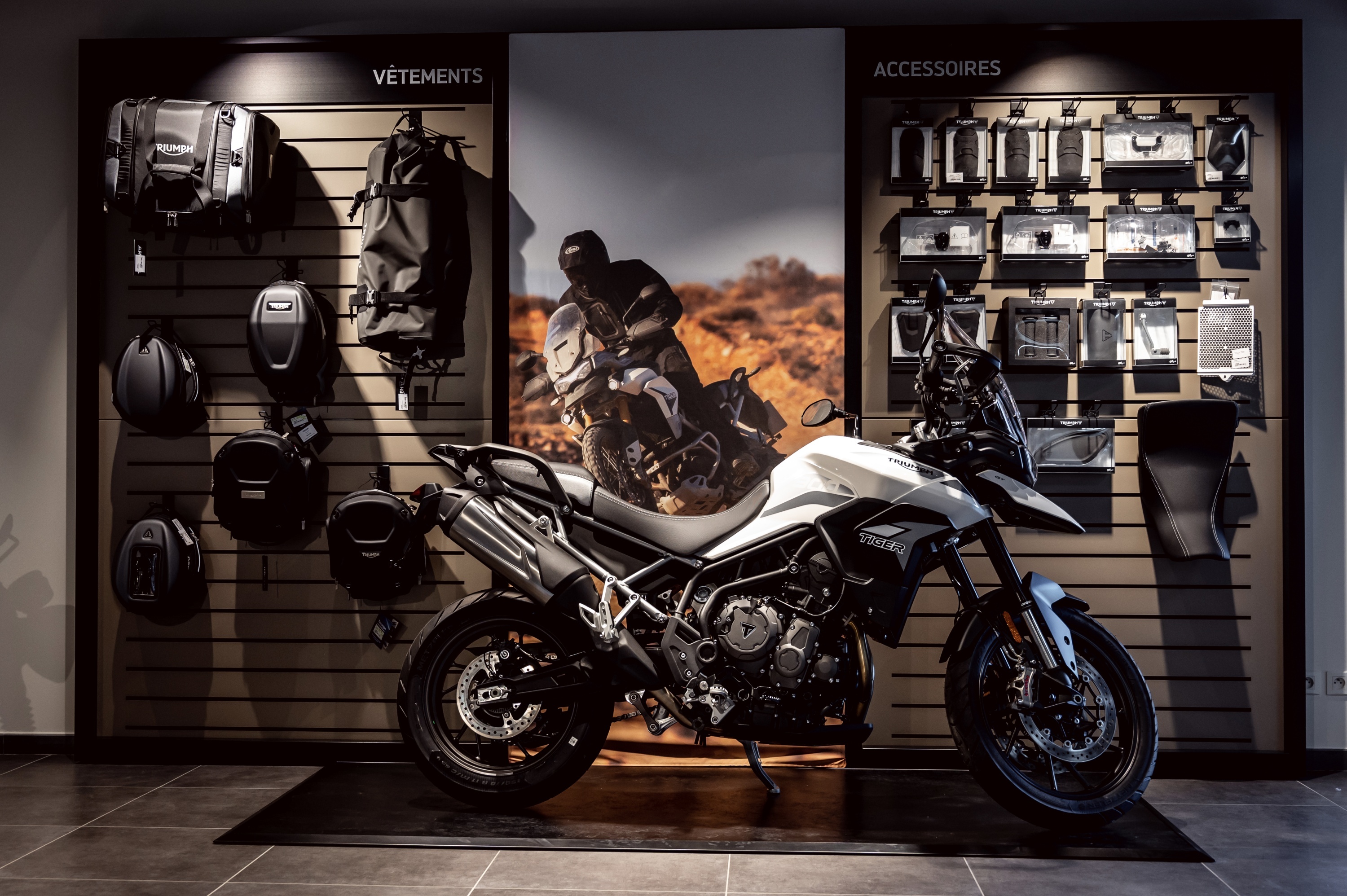 Foto 4 di TRIUMPH AMBUTRIX