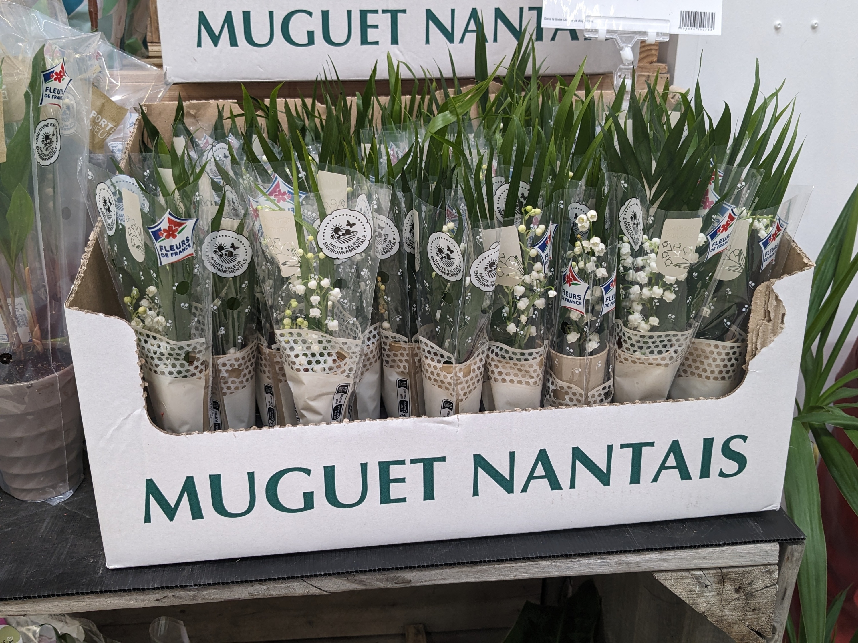 Foto 83 di Auchan Hypermarché Martigues