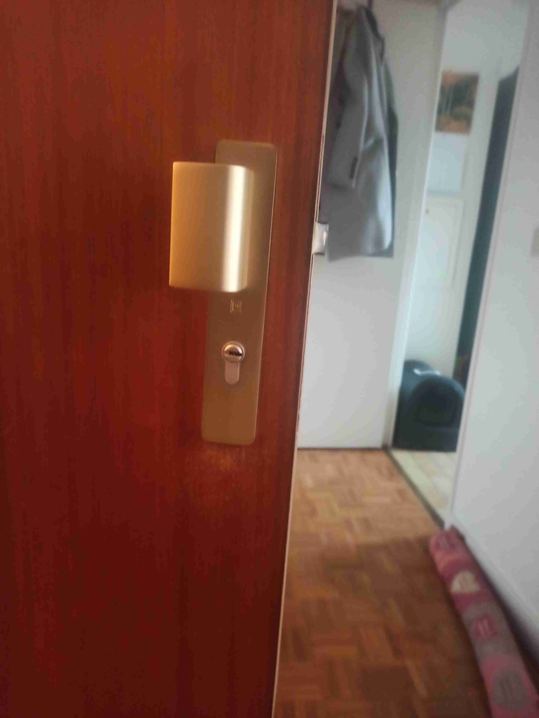 Foto 129 di Elite Services