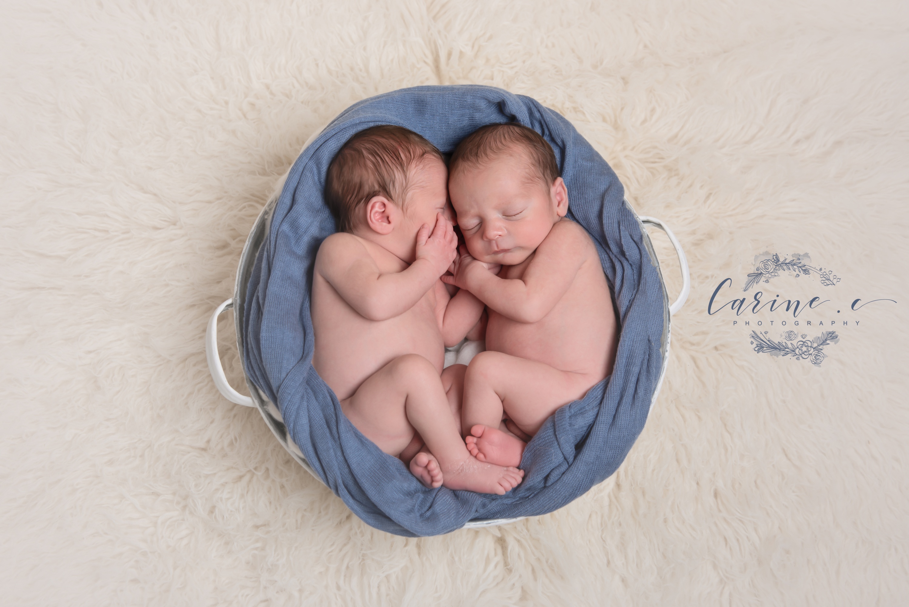 Foto 58 di Carine Photography