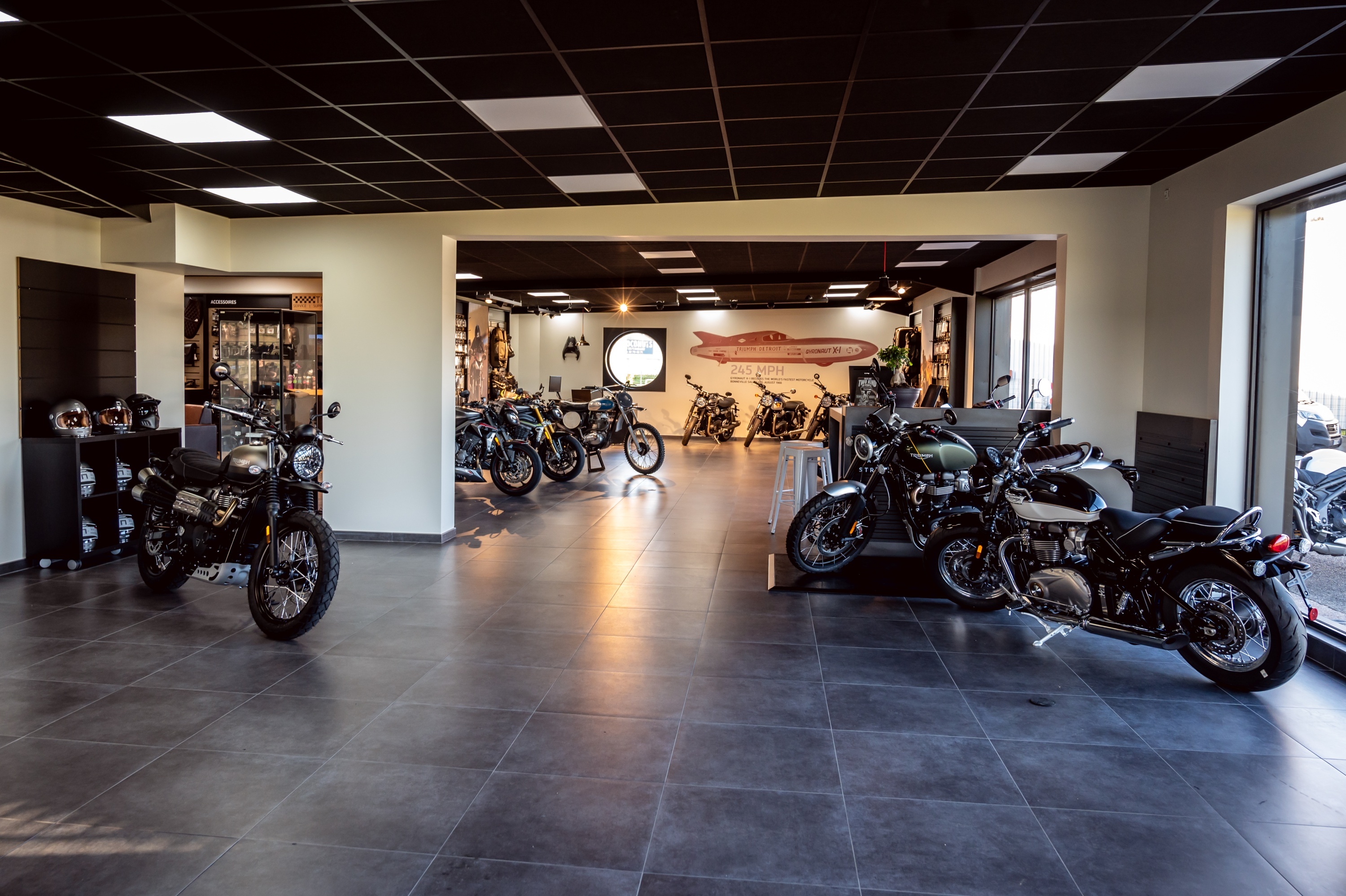 Foto 6 di TRIUMPH AMBUTRIX