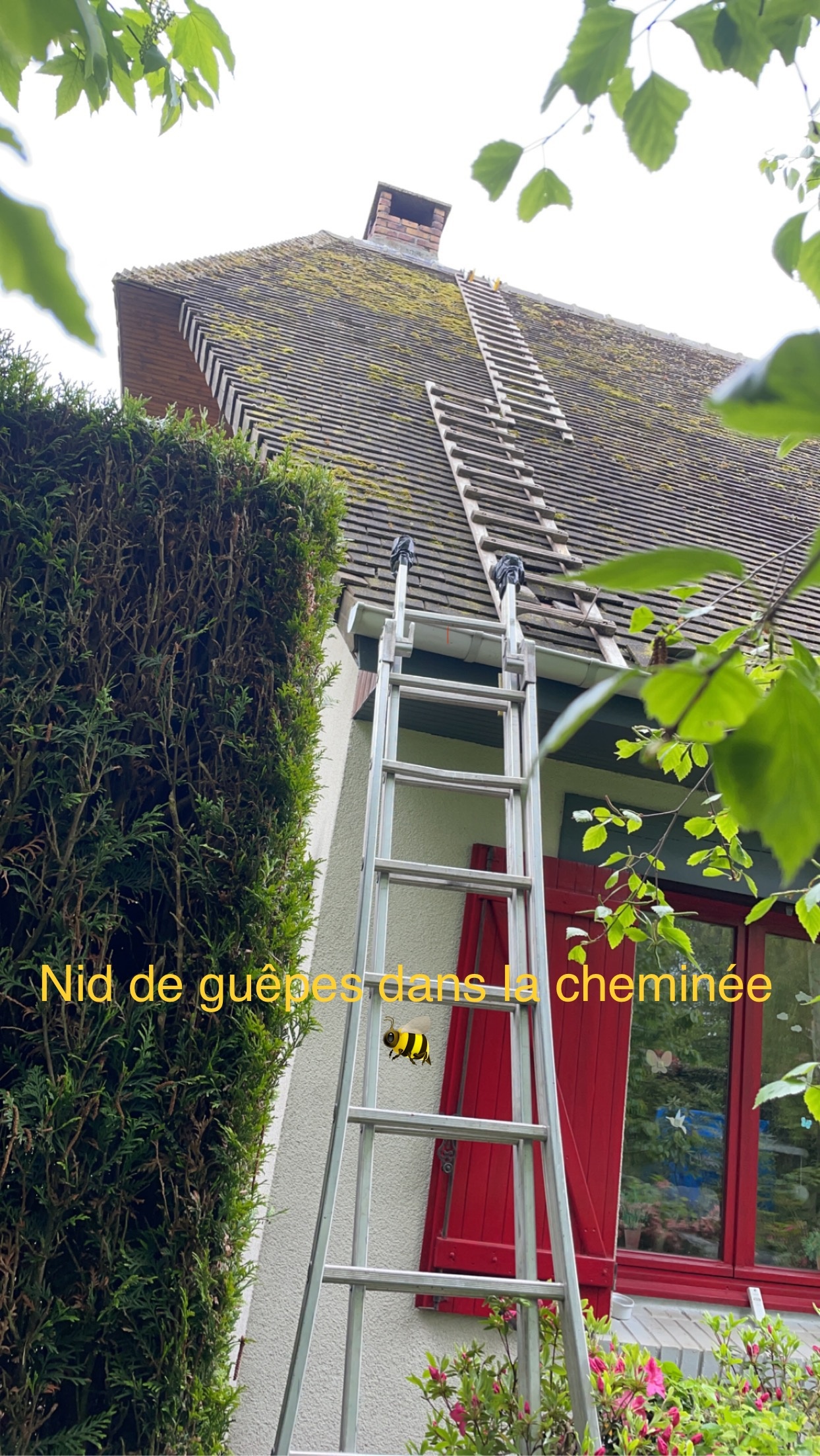Foto 22 di Jerem' Toit