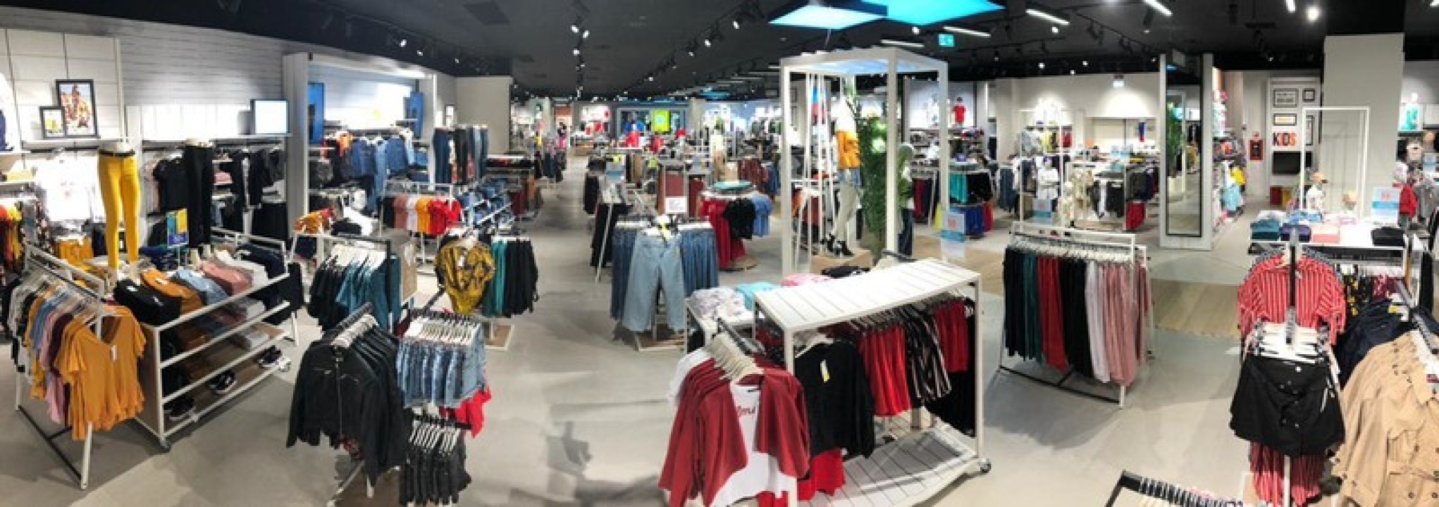 Photo 3 de Terranova