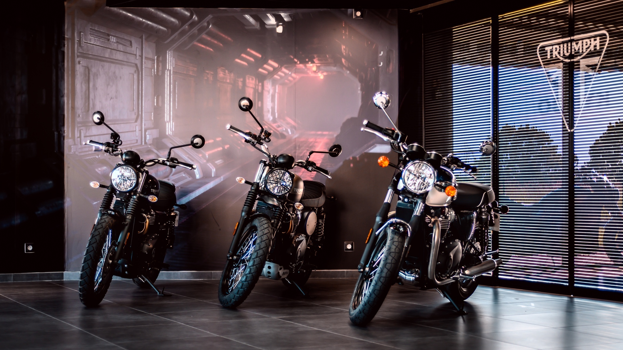 Foto 9 di TRIUMPH AMBUTRIX