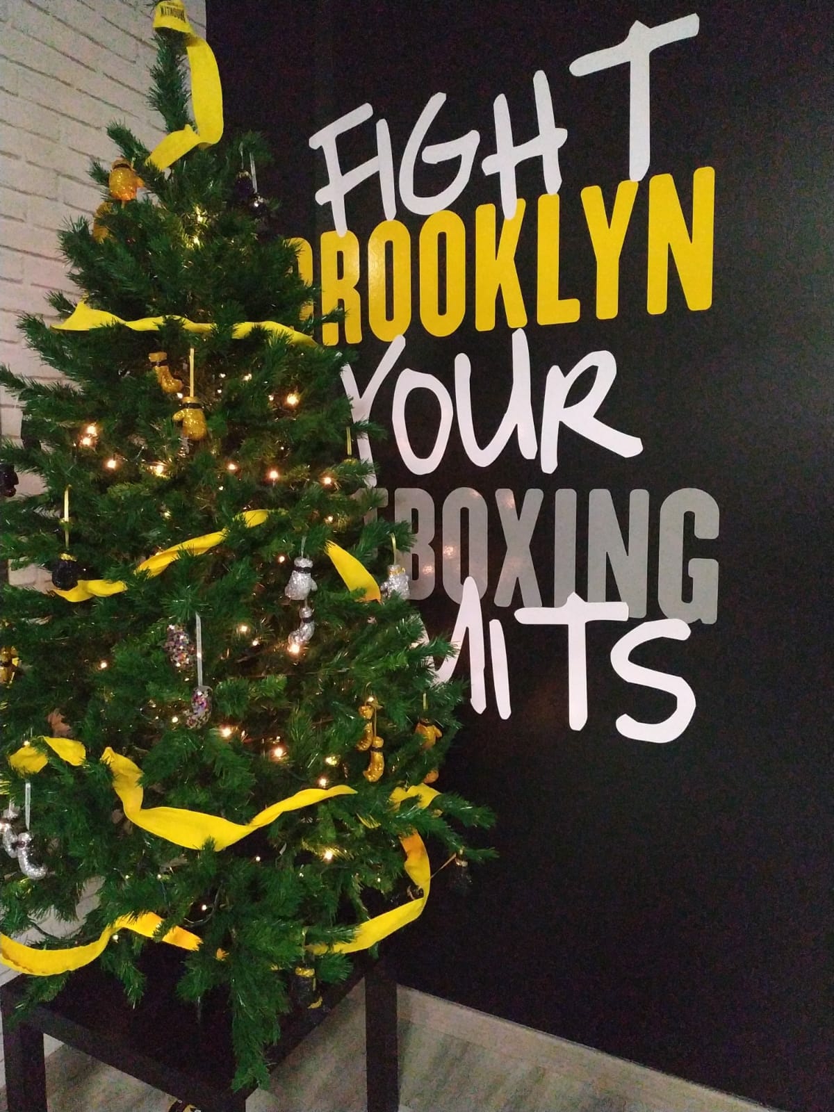 Fotografia 92 de Brooklyn Fitboxing Badajoz