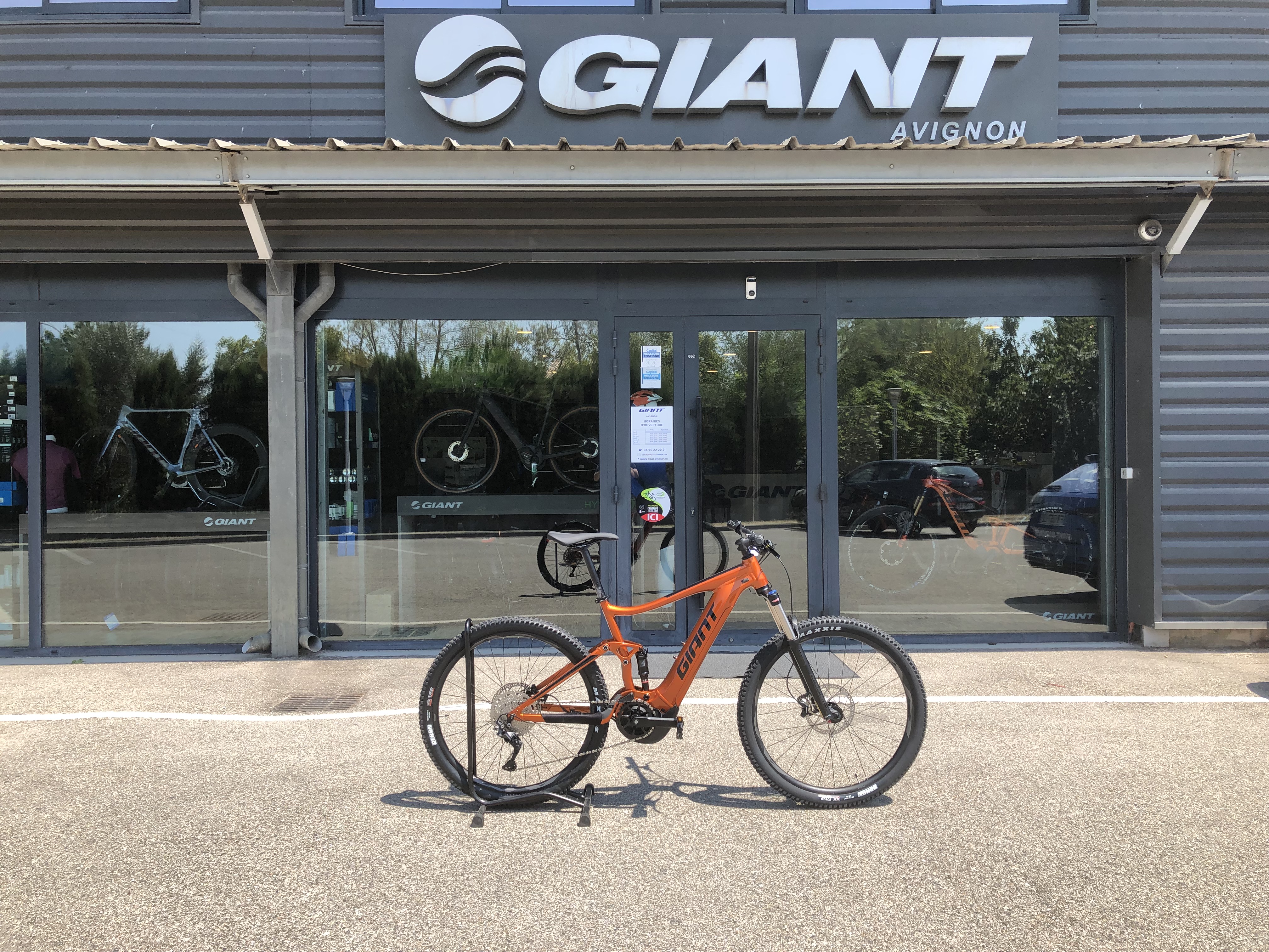 Foto 3 di Giant Avignon