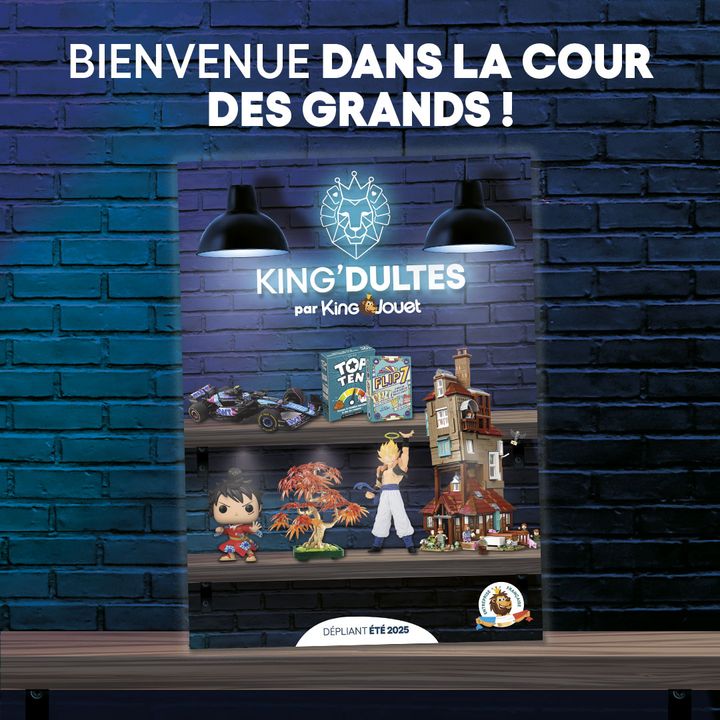Foto 106 di King Jouet
