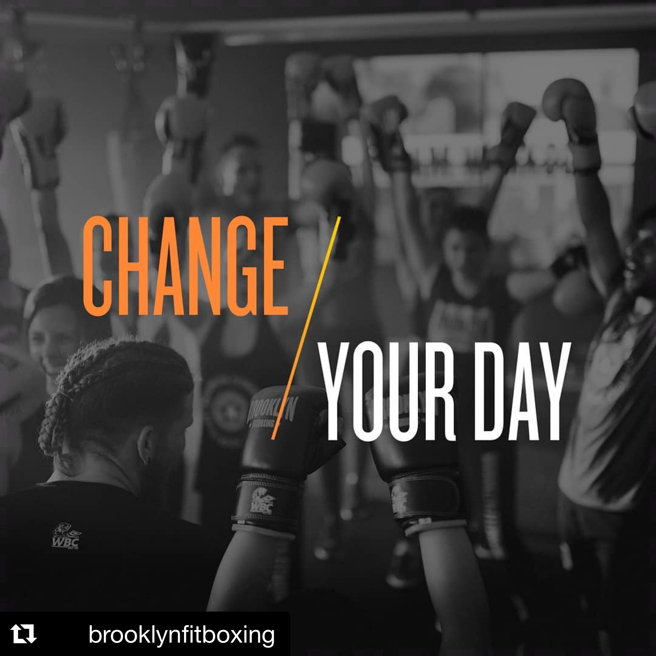 Fotografia 54 de Brooklyn Fitboxing Chiavari