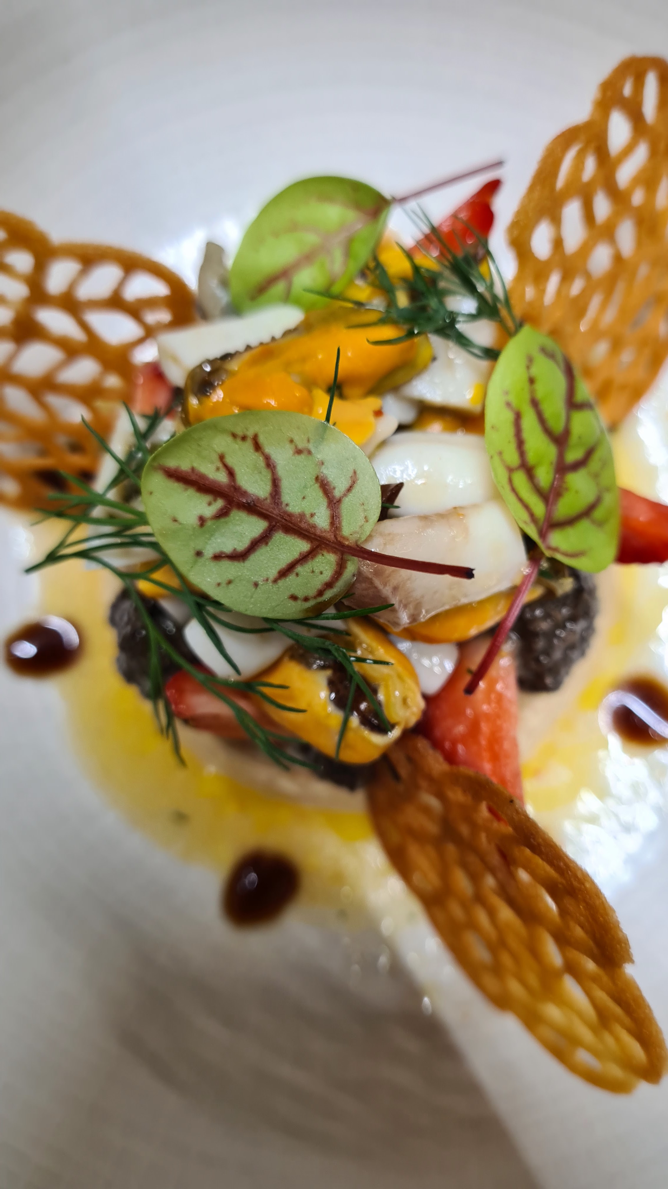 Le Comptoir de l'Iroise - Restaurant Audierne Vue Mer