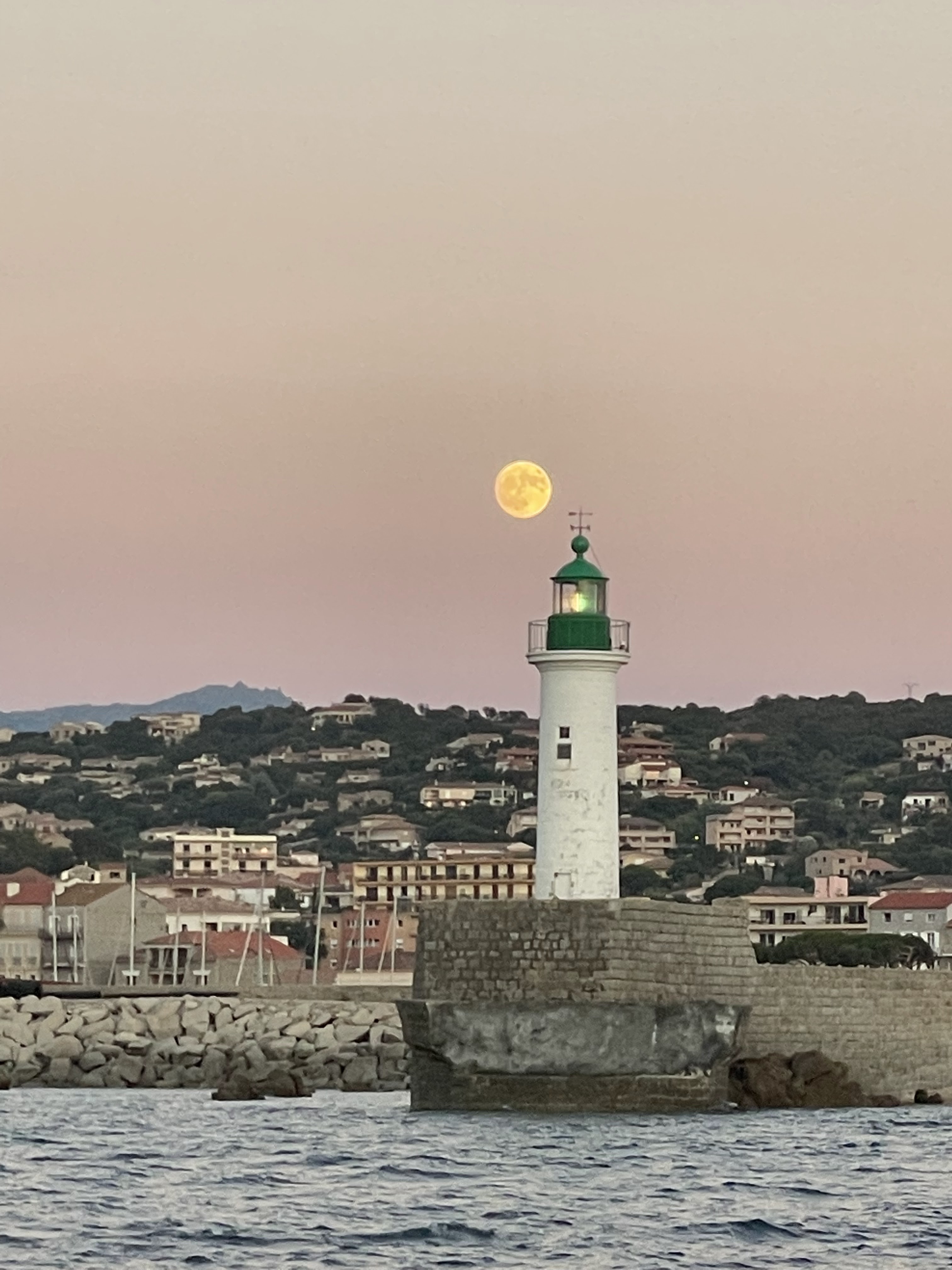 Paradisu Marinu - Promenade en mer Propriano