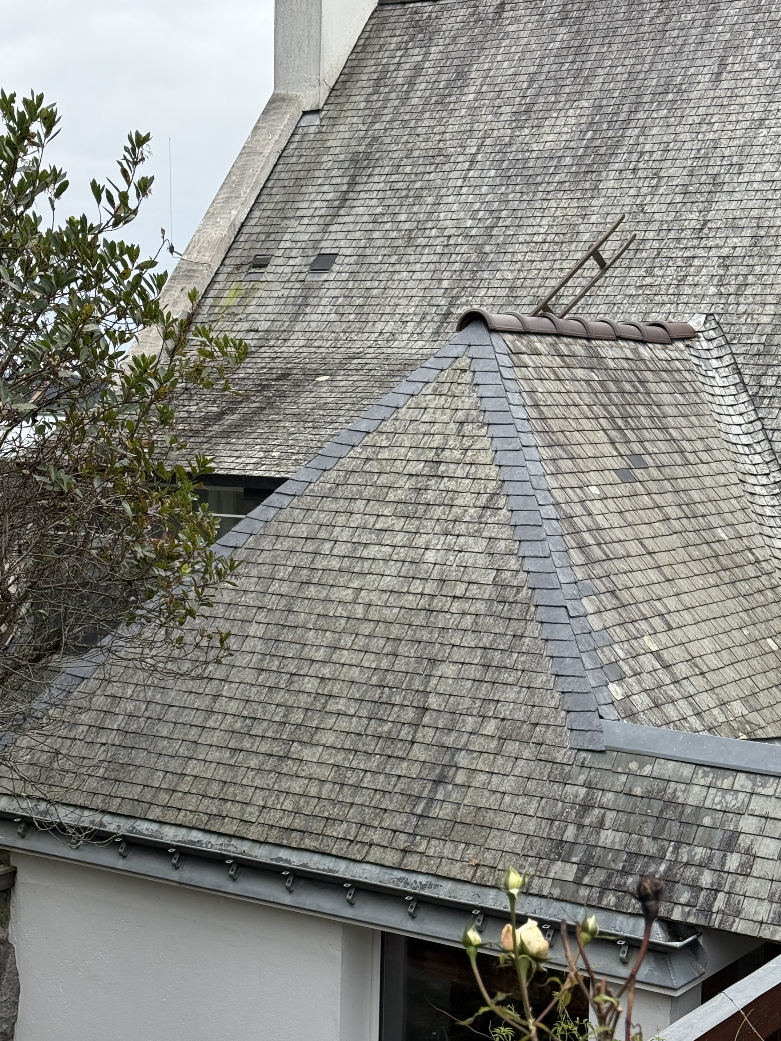 Foto 193 di Le Bouedec Couverture Peintre