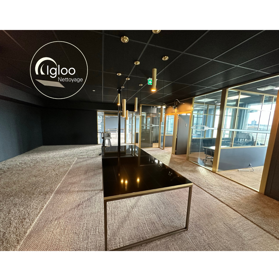 Foto 145 di Igloo Nettoyage