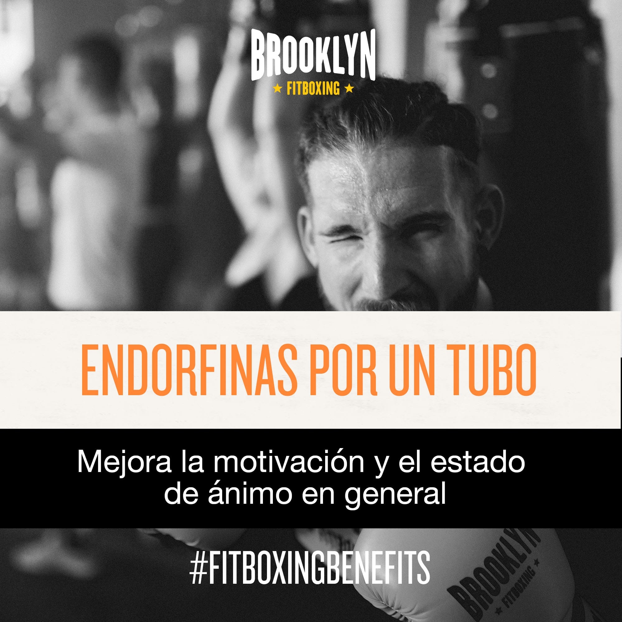 Fotografia 130 de Brooklyn Fitboxing Badajoz