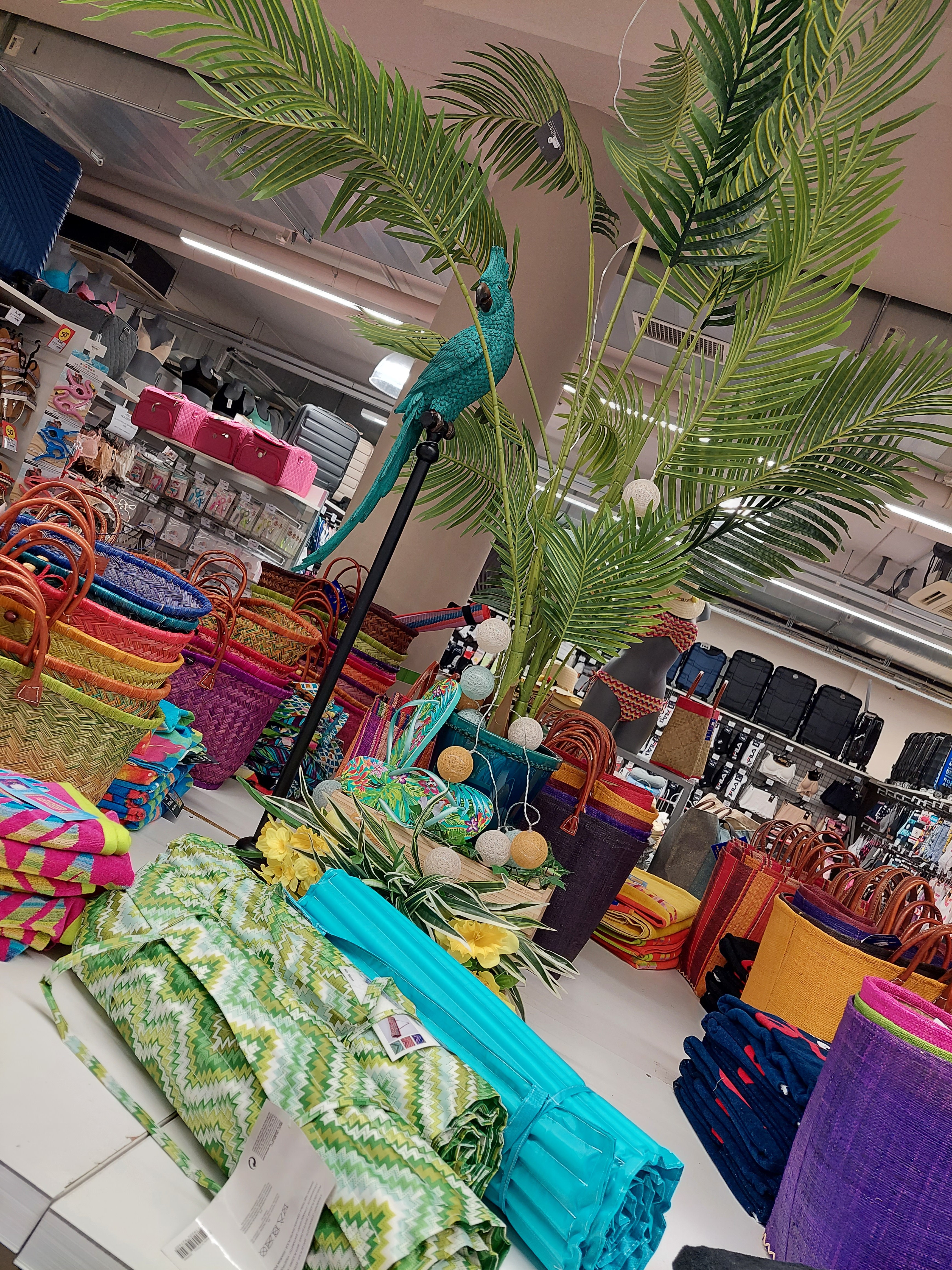 Foto 69 di Maxi Bazar