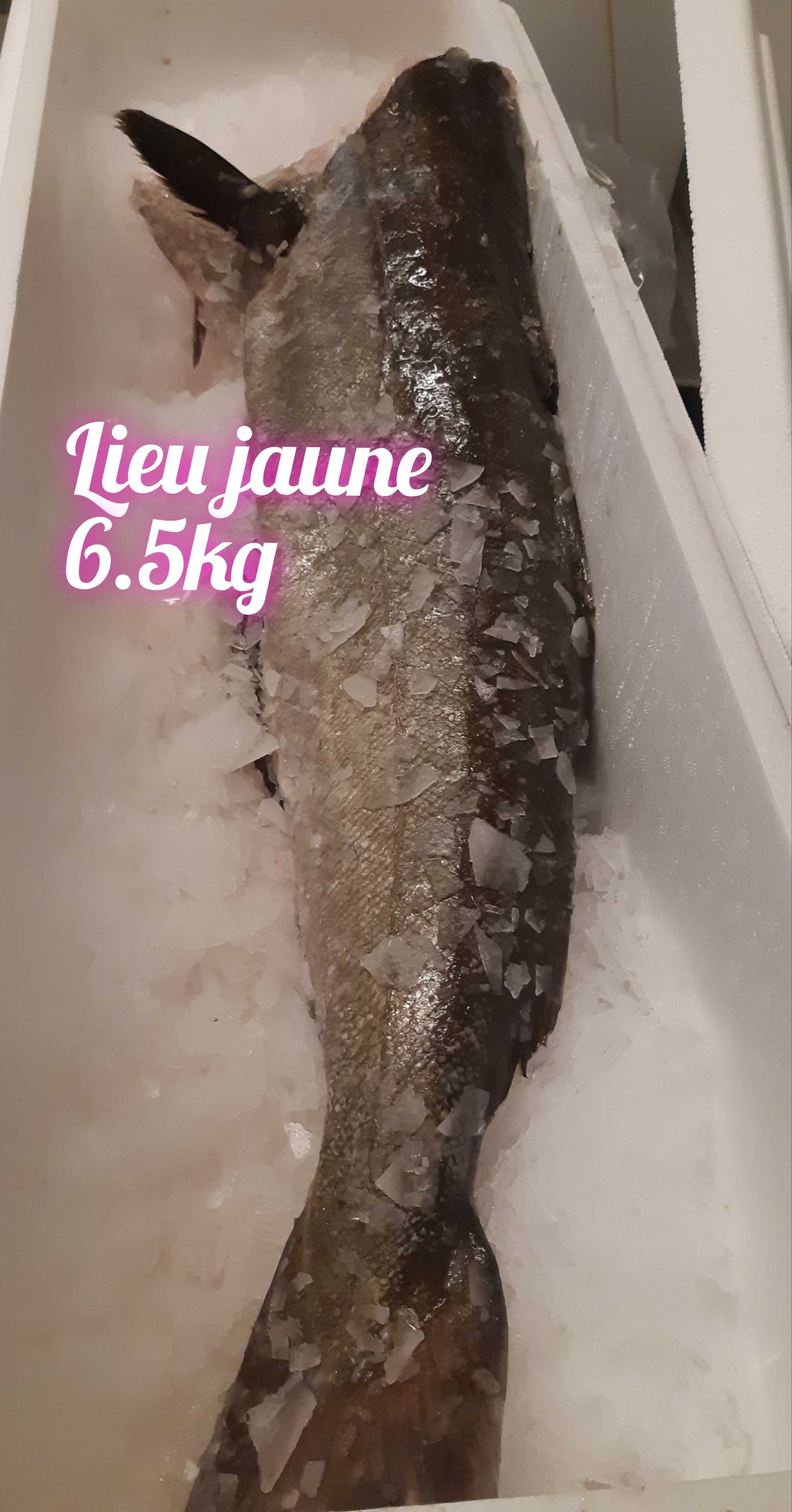 Restaurant Au Louis IX - Restaurant Aigues-Mortes