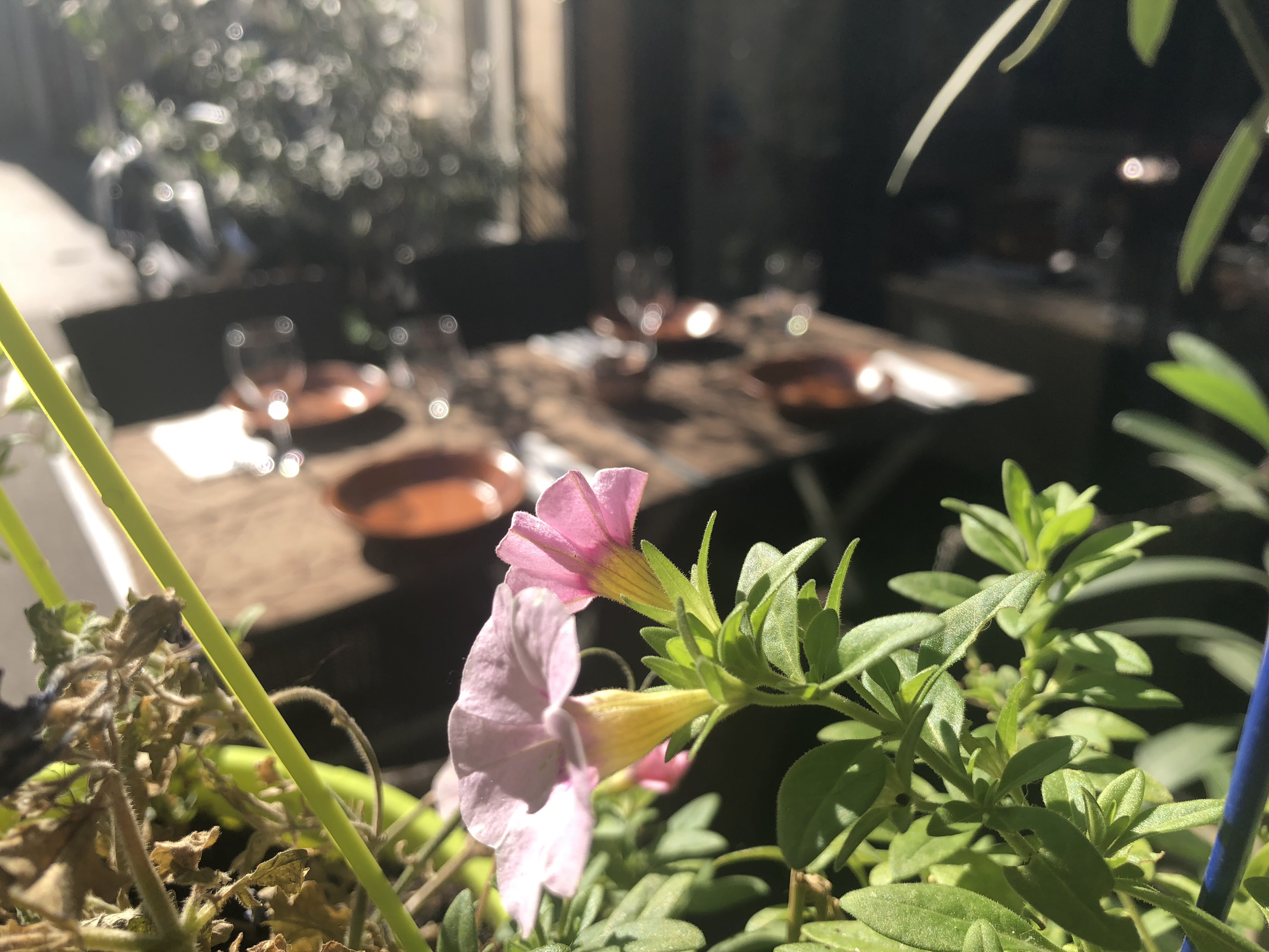 Foto 42 di Le Touareg