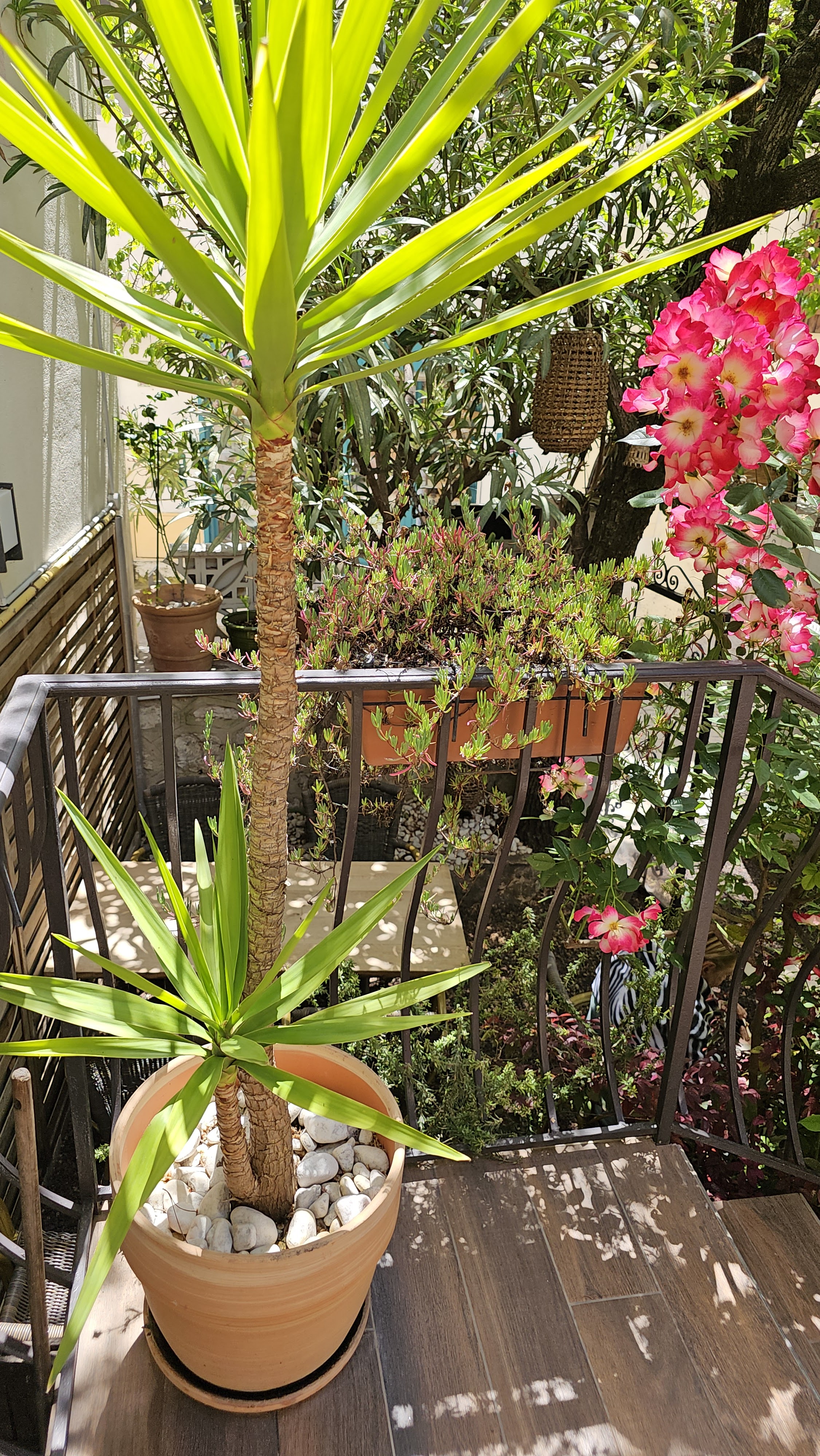 Jaï Thaï - Restaurant Allauch