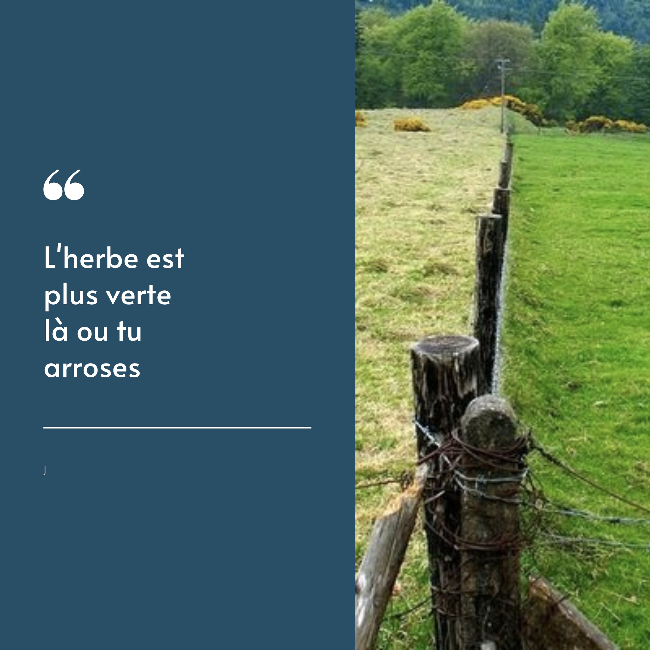 Foto 23 di Envergure  Coaching