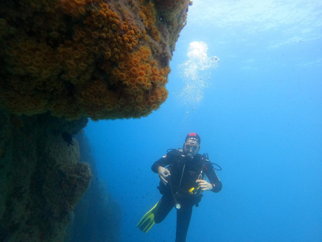 Fotografia 52 de Aquatic Rando - Plongée Fréjus
